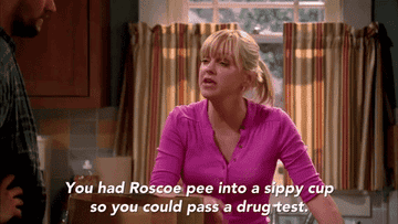 Anna Faris saying &quot;you had Roscoe pee into a sippy cup so you could pass a drug test&quot;