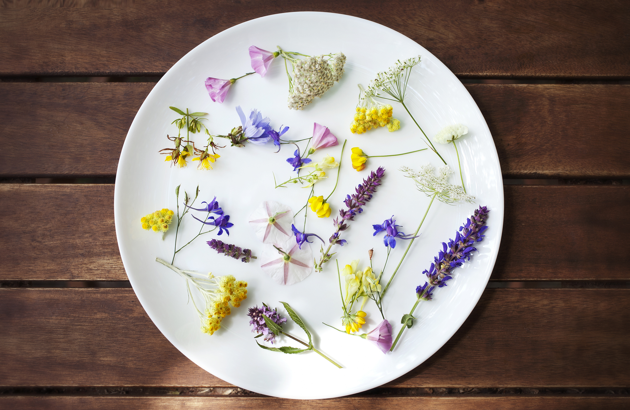 Edible flowers