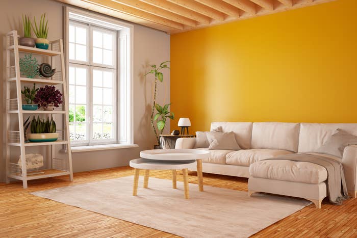 Modern house furnishings with a yellow accent wall