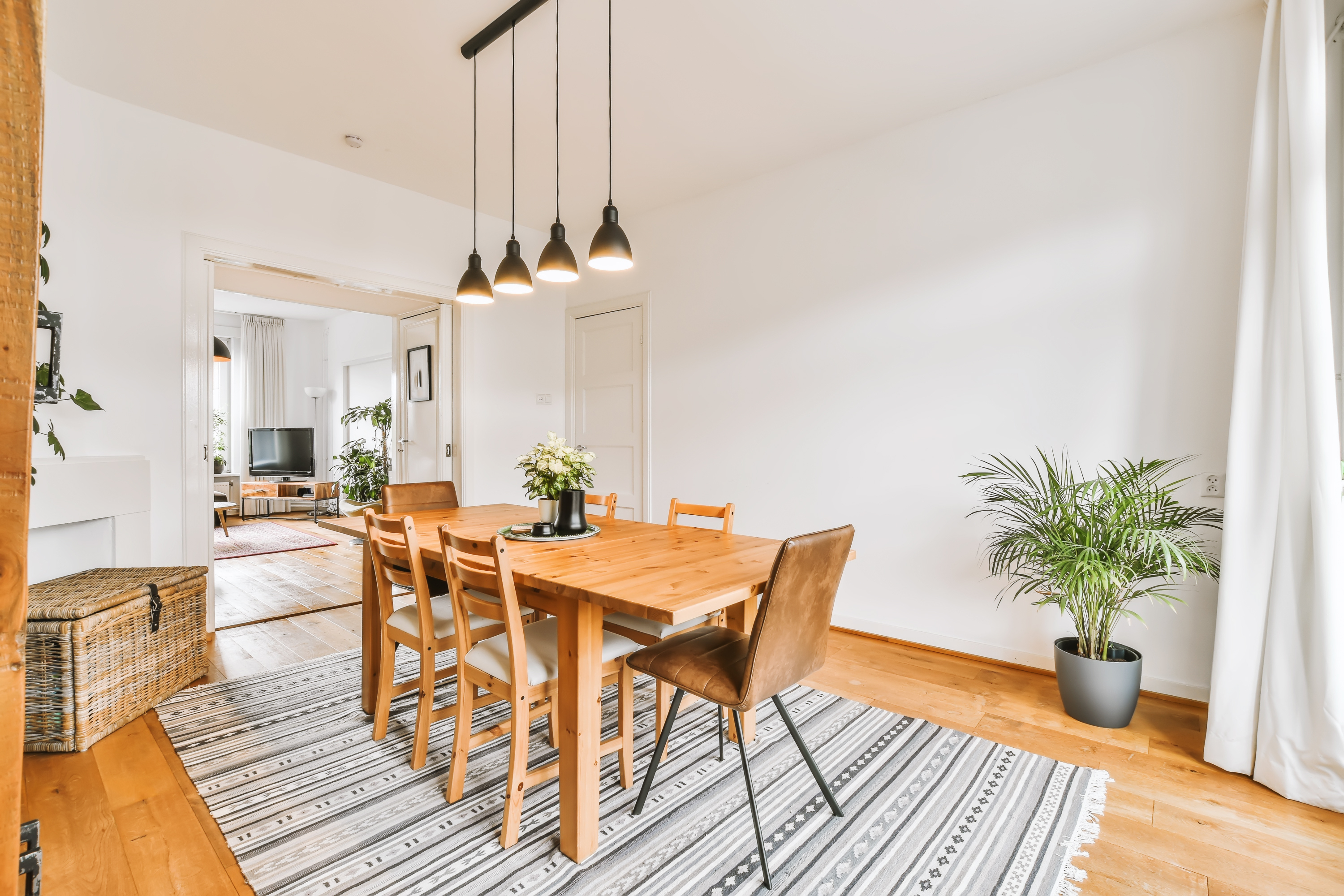 Dining room with a wooden table, seats, a plant, and a striped rug