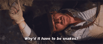 Indiana Jones saying &quot;Why&#x27;d it have to be snakes?&quot;