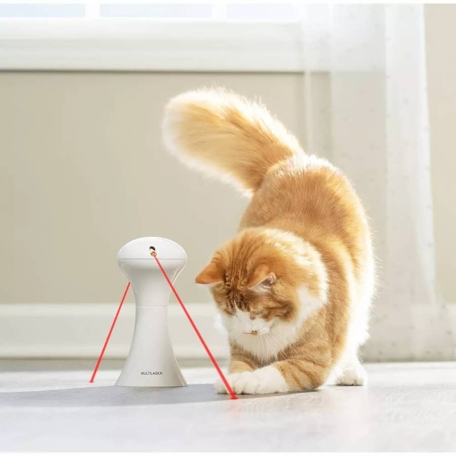 25 Things From Target To Keep Your Pets Occupied Indoors When It's Too Hot  To Go Outside