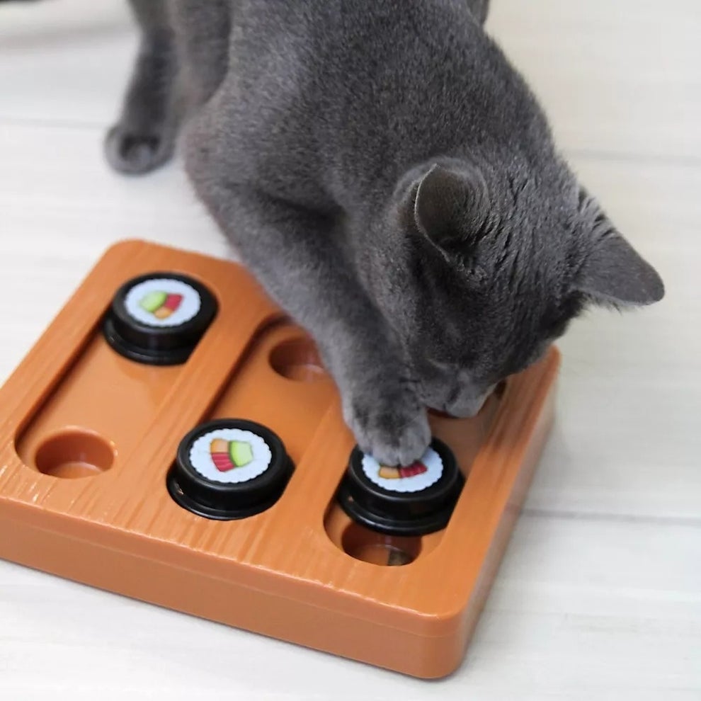 Target Kitten Top 20 Target Products For Your Senior Cat's Happiness