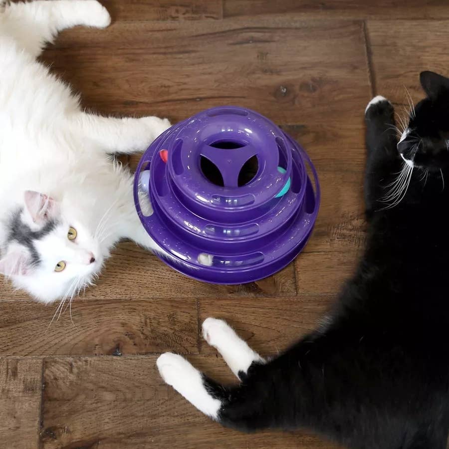 25 Things From Target To Keep Your Pets Occupied Indoors When It's Too Hot  To Go Outside