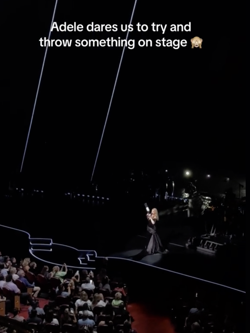 Screenshot of Adele onstage with caption &quot;Adele dares us to try and throw something on stage&quot;