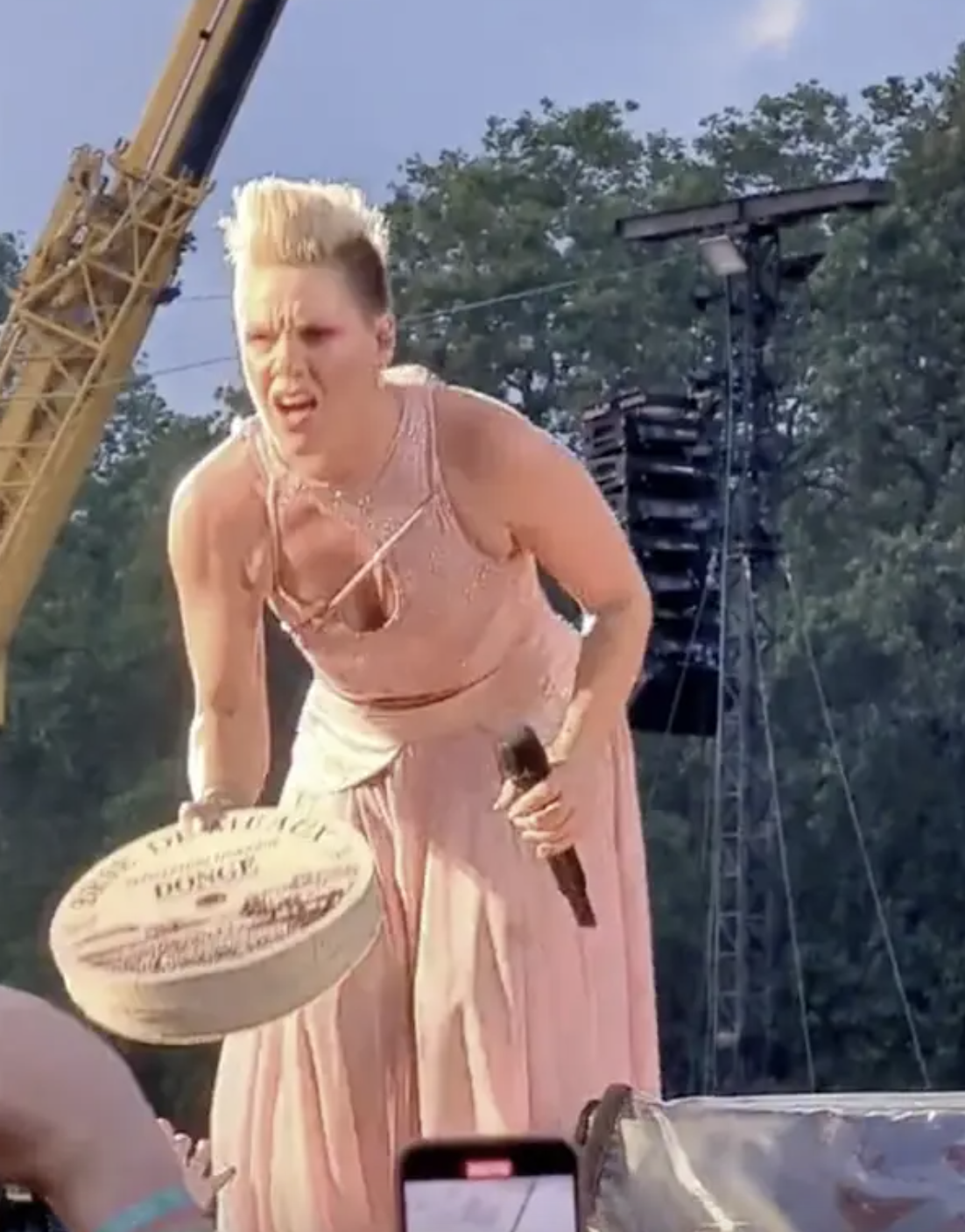 Pink holding a wheel of cheese onstage