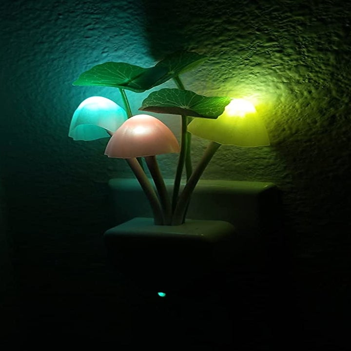 Reviewer image of the light shining at night