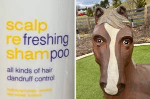 a bottle that says "scalp refreshing shampoo" but highlights "freshing" and "poo," then a horse statue with human eyes