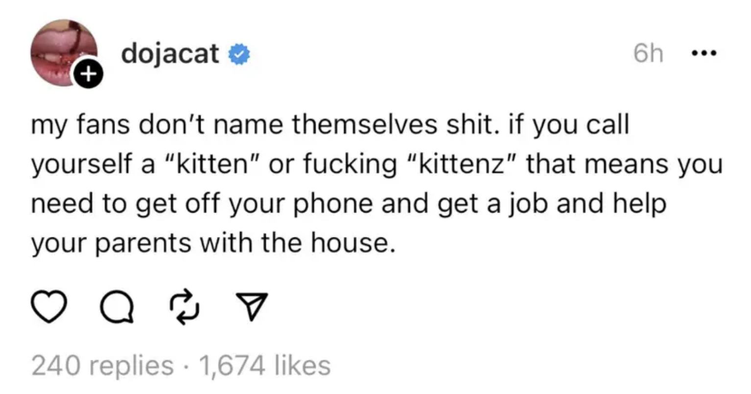 Screenshot of Doja Cat&#x27;s tweet