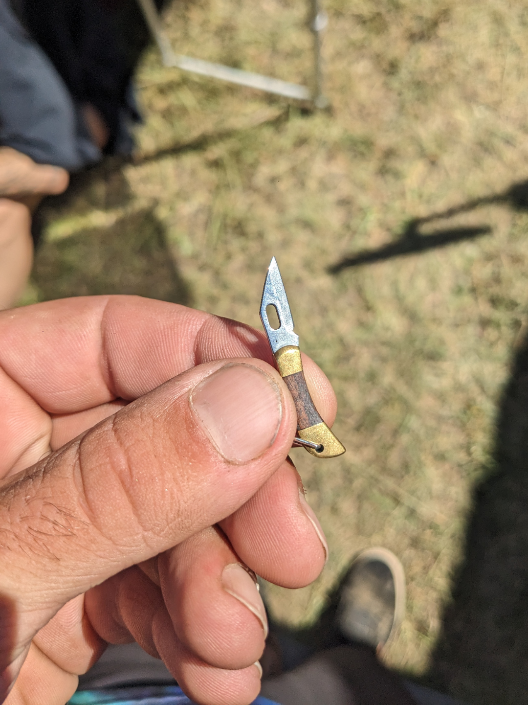 Close-up of a tiny knife that's much smaller than the thumb holding it