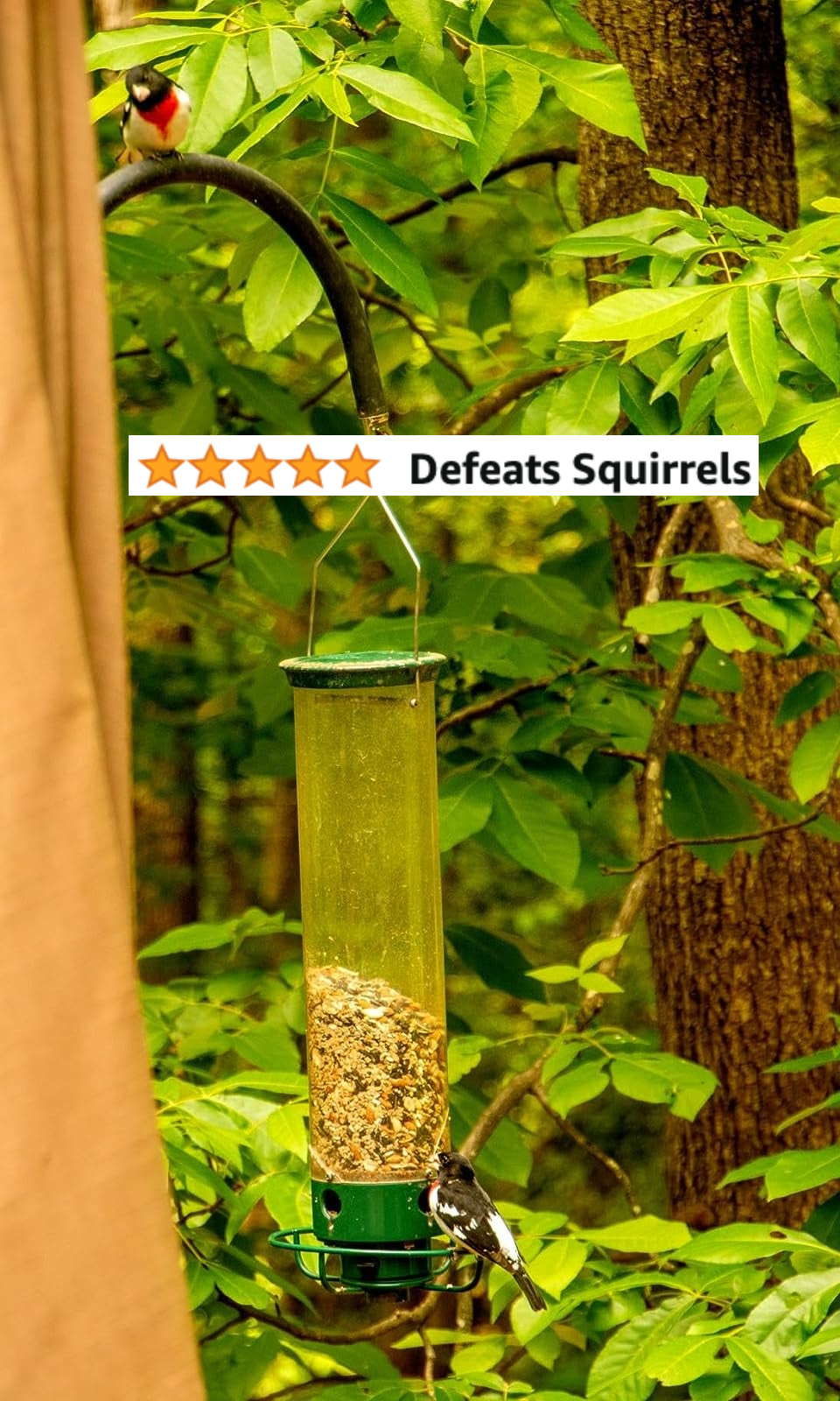 A reviewer's bird feeder outside hanging from a tree with a bird eating seeds and a 5-star review that says