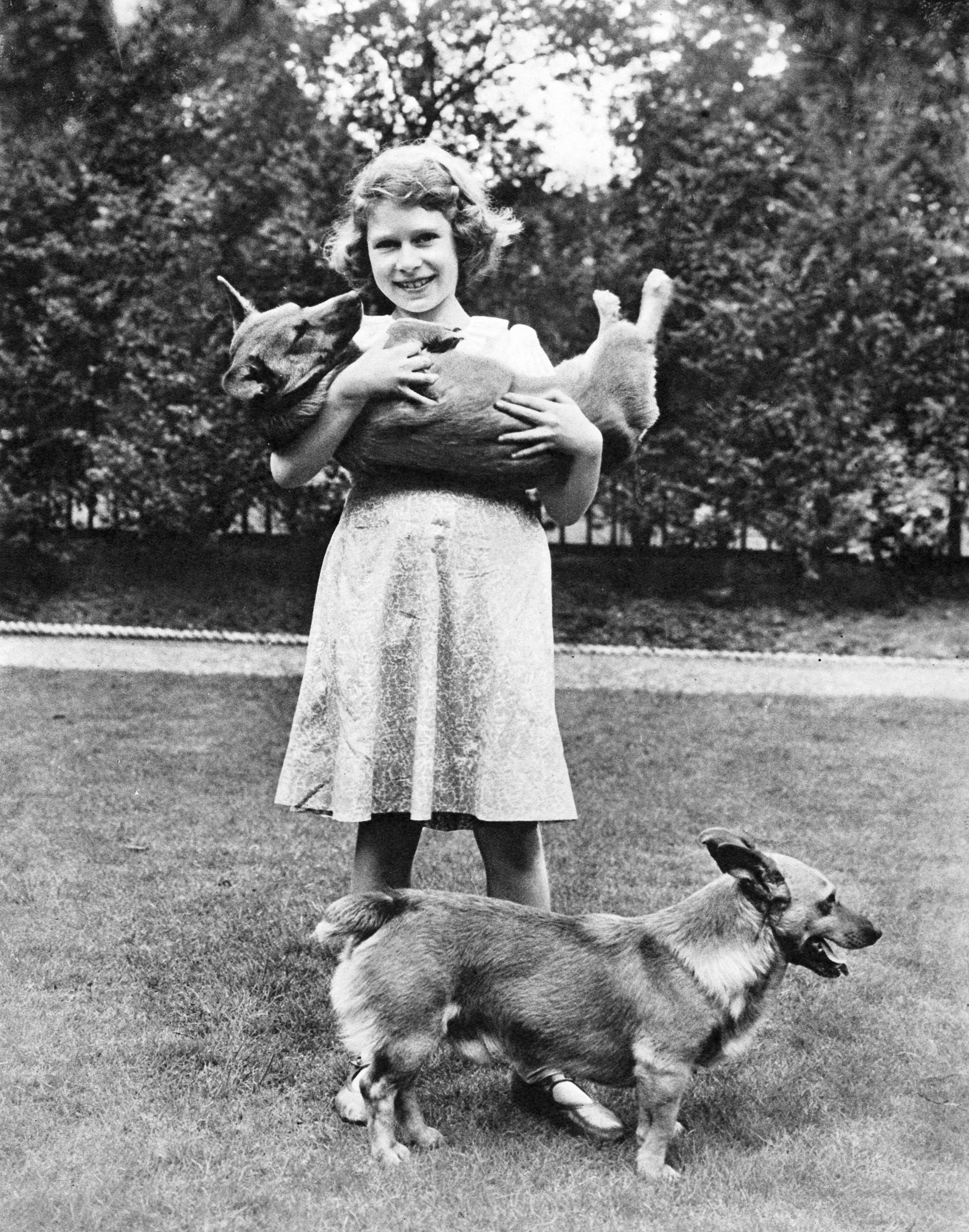 Queen Elizabeth as a girl smiling and holding one of her corgis, with another standing on the grass in front of her