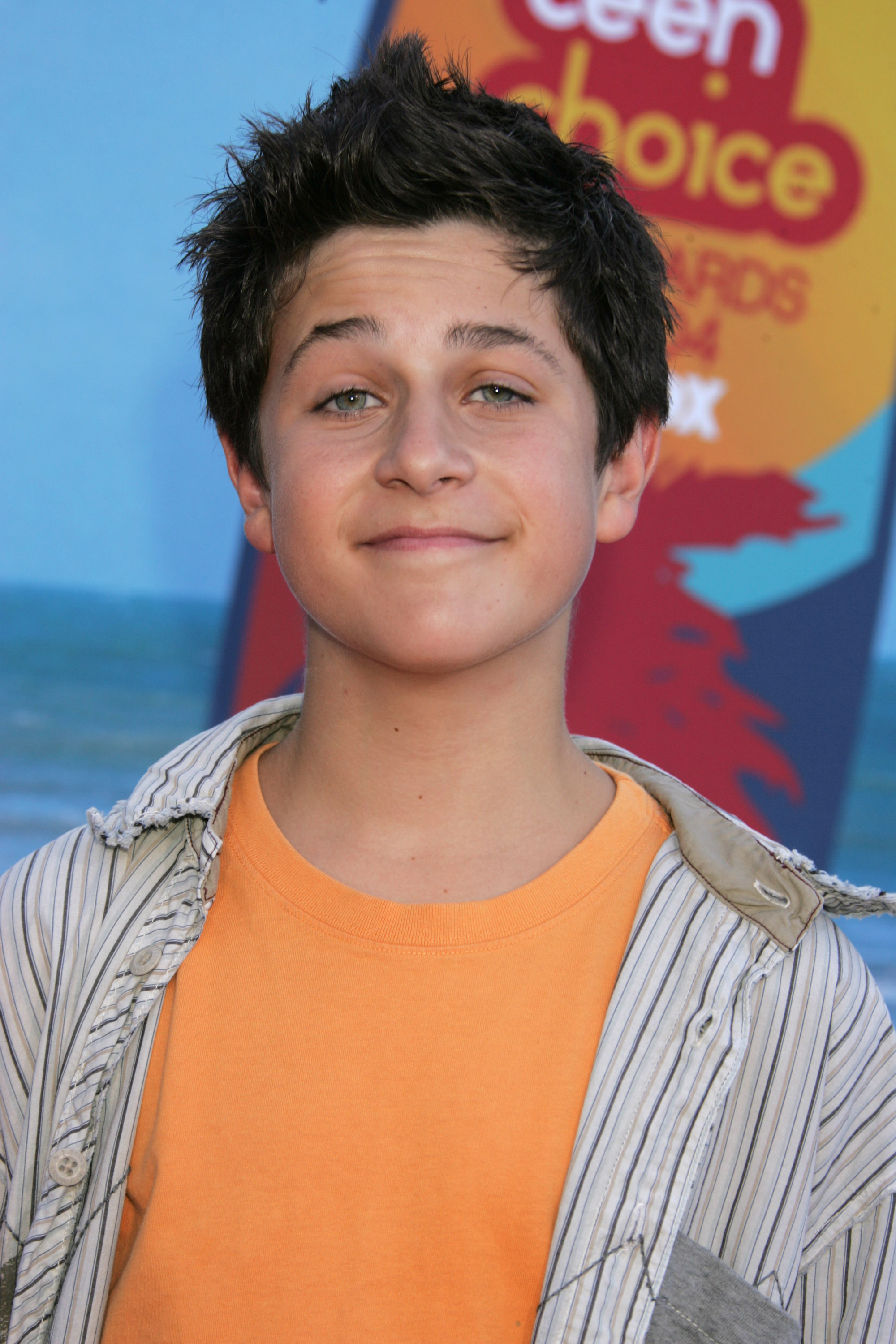 David Henrie on the red carpet