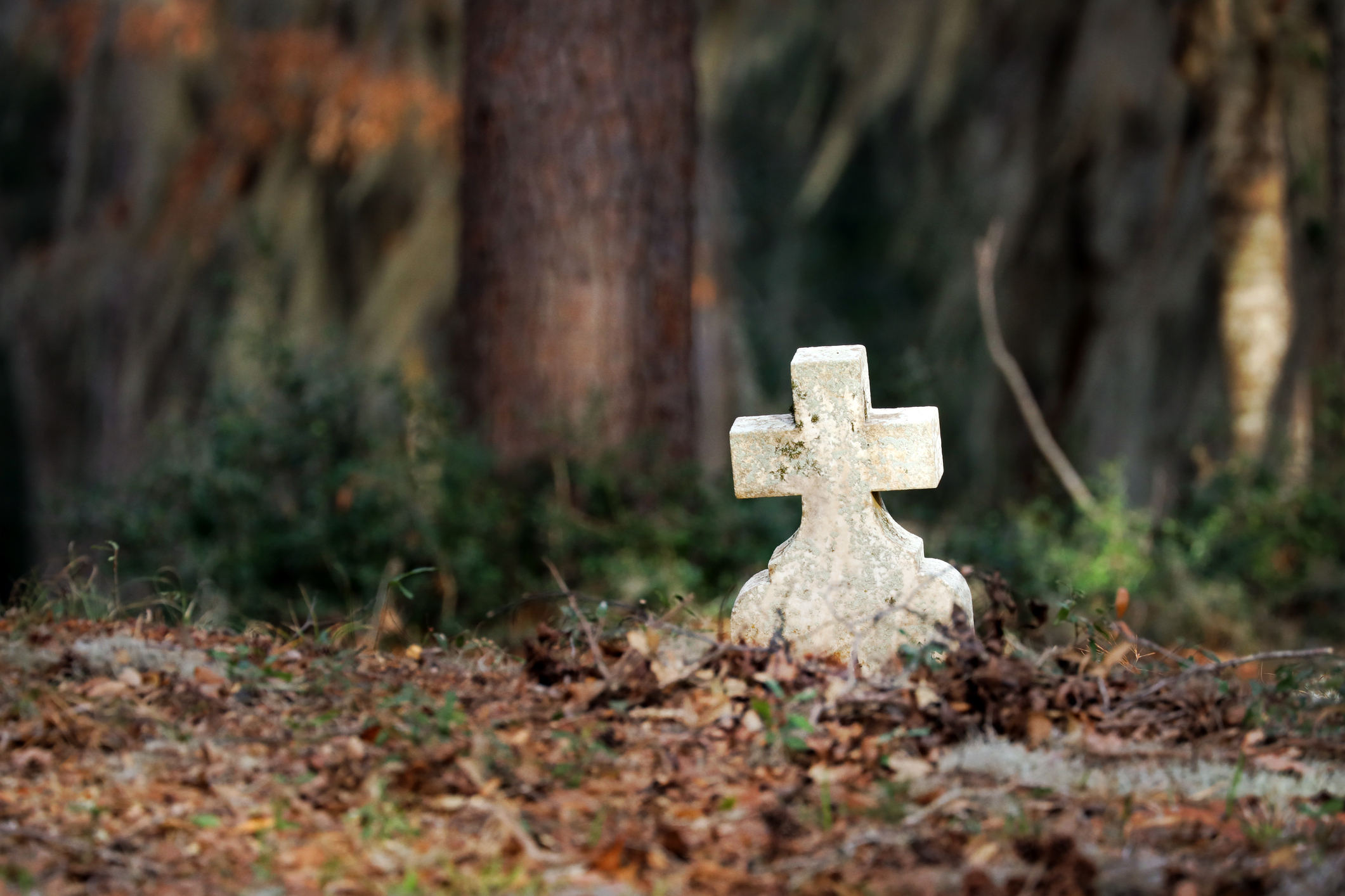 A grave marker in the forest