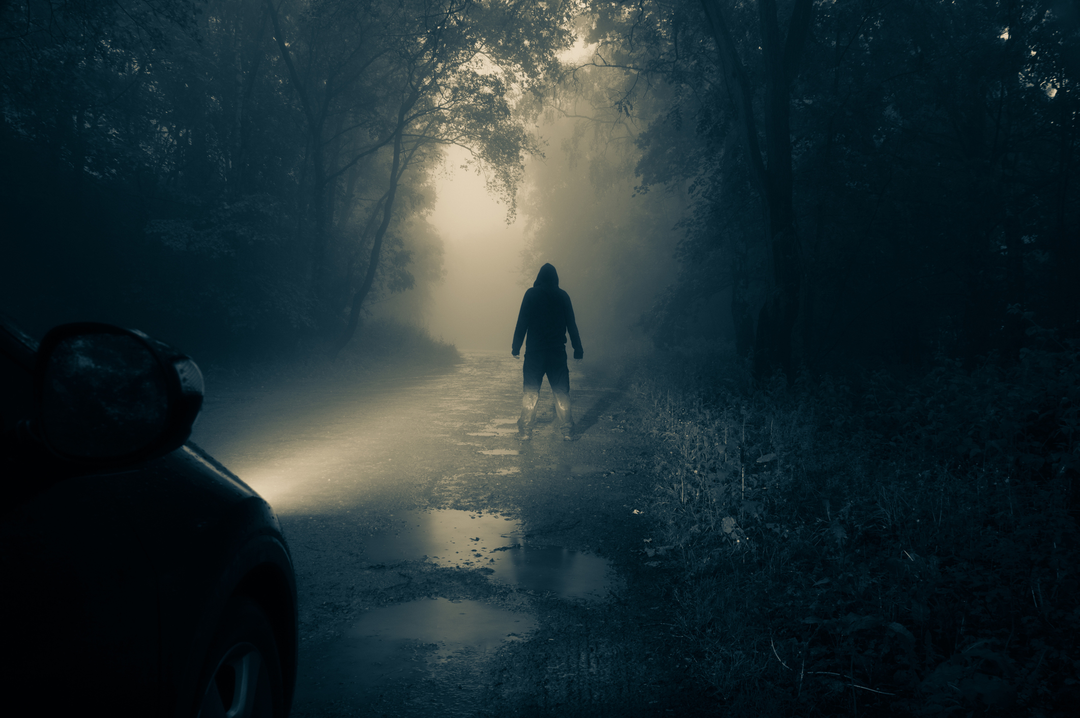 A dark figure on the road in the middle of the woods