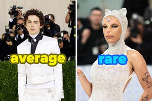 An image of Timothee Chalamet in a basic suit on the left side and an image of Doja Cat in a cat costume on the right side.