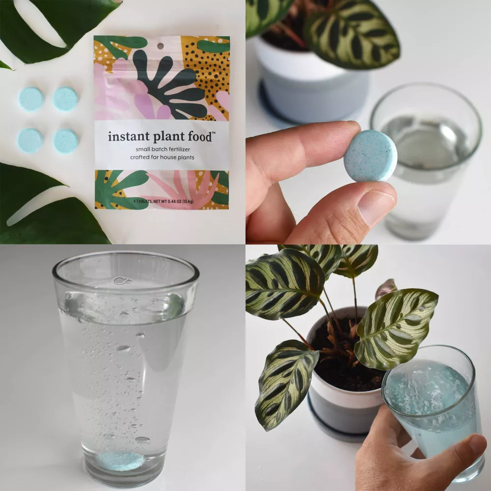 A collage of four images showing the instant plant food, a model&#x27;s hand holding an instant plant food tablet, a glass of water with a tablet dissolving inside, and a model watering a plant with the glass of water with the plant food in it