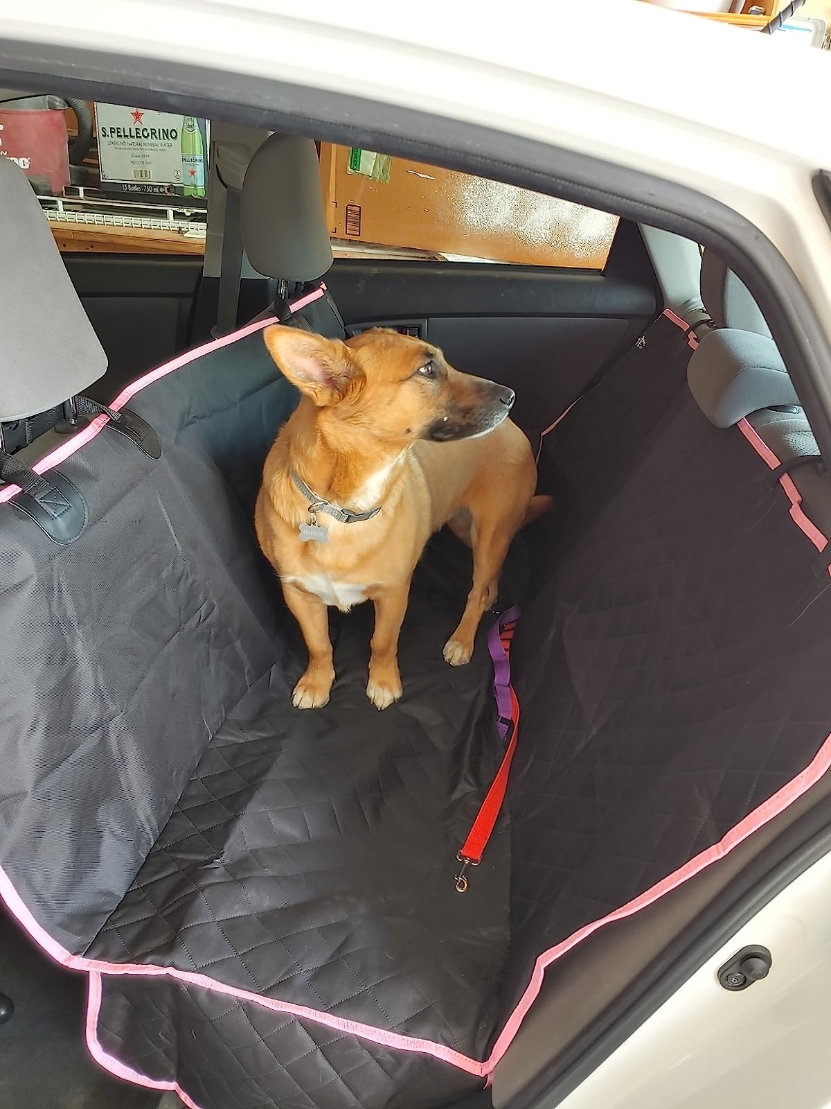 reviewer&#x27;s dog in a black with pink trim quilted car hammock