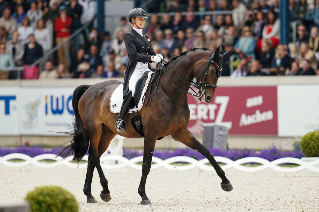 A rider and horse at a dressage show