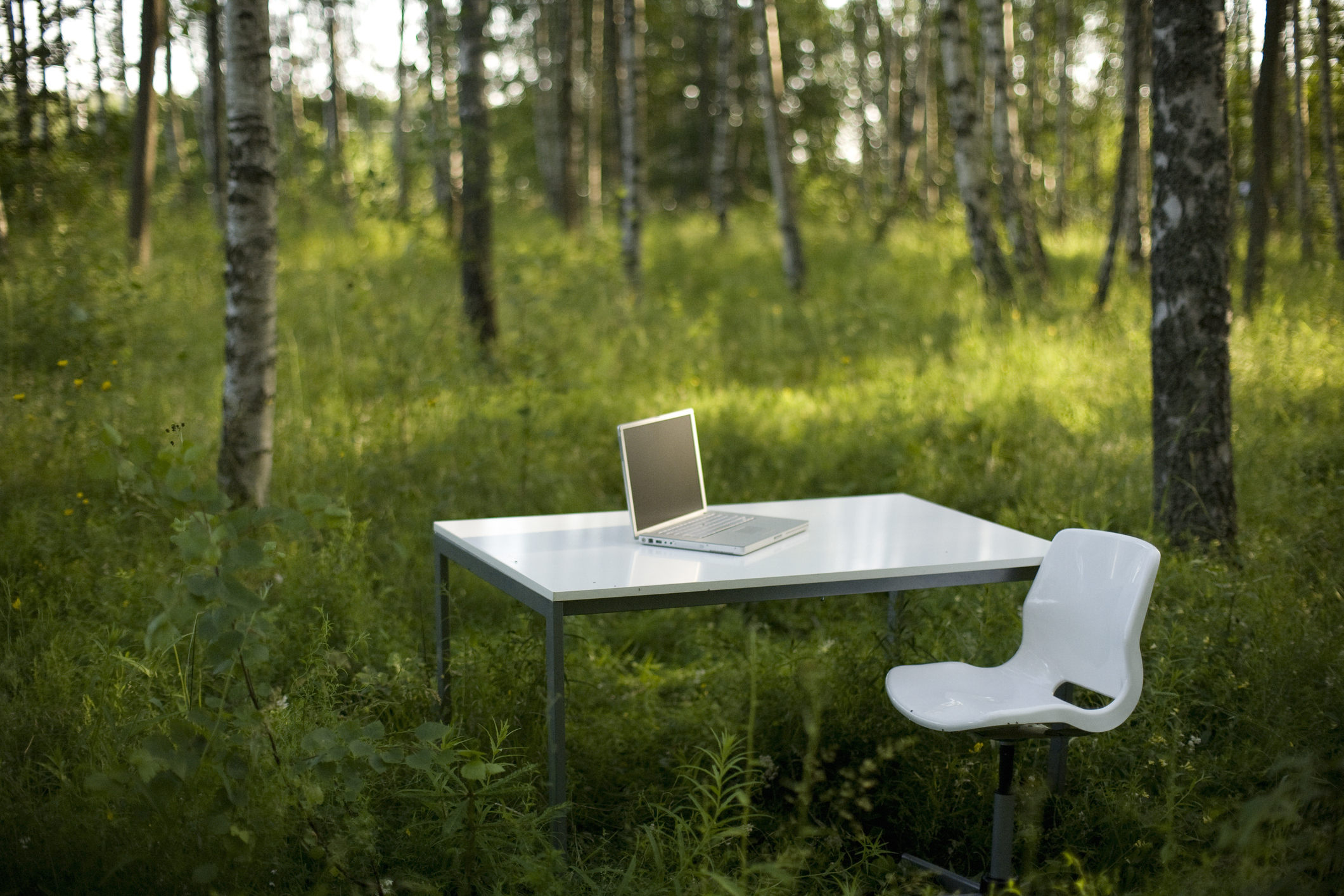 A computer desk in the middle of the woods