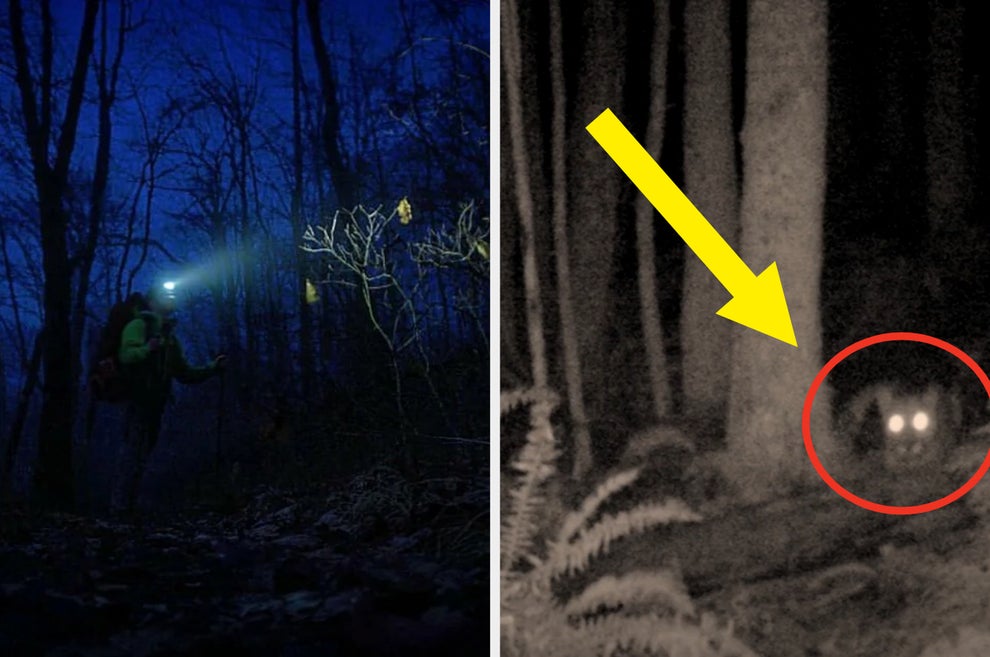 16 Creepy True Stories About The Woods 16 Creepy True Stories About The Woods