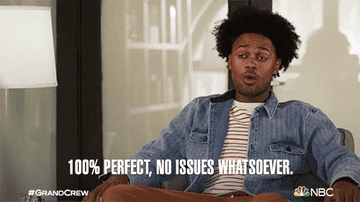A GIF of a man saying &quot;100% perfect, no issues whatsoever&quot;
