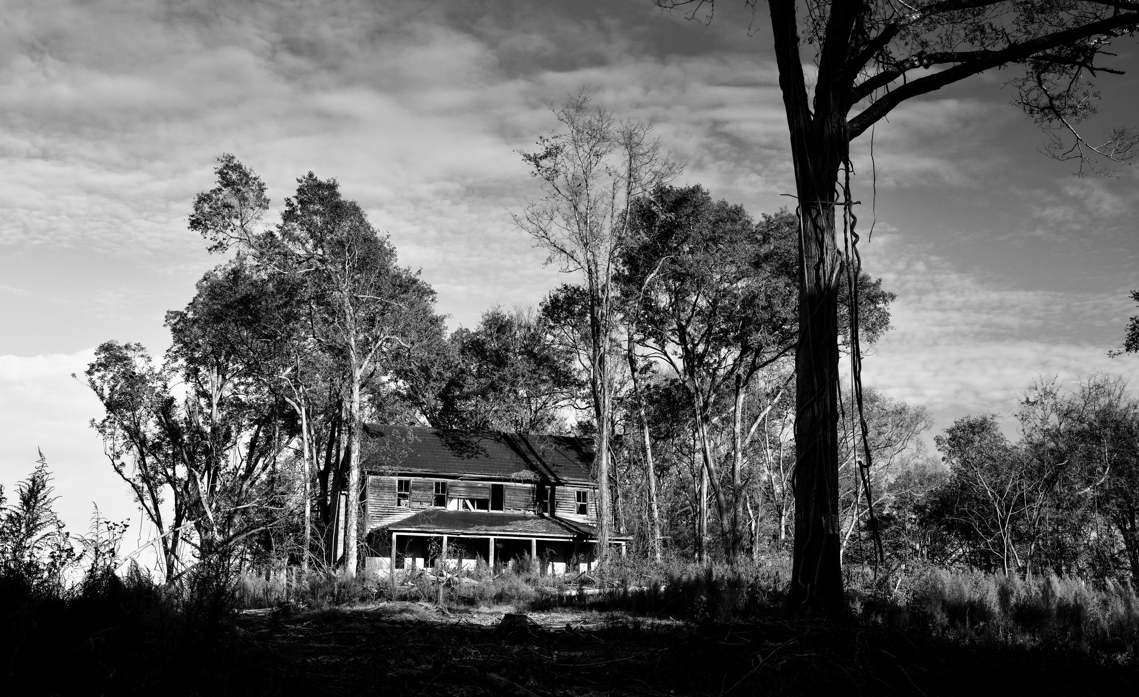 creepy large house surrounded by trees