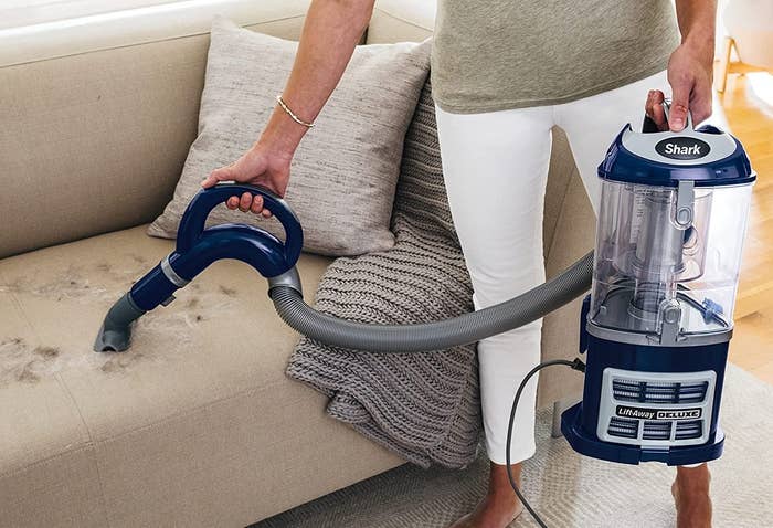 a model using the vacuum to pick up fur from a beige couch