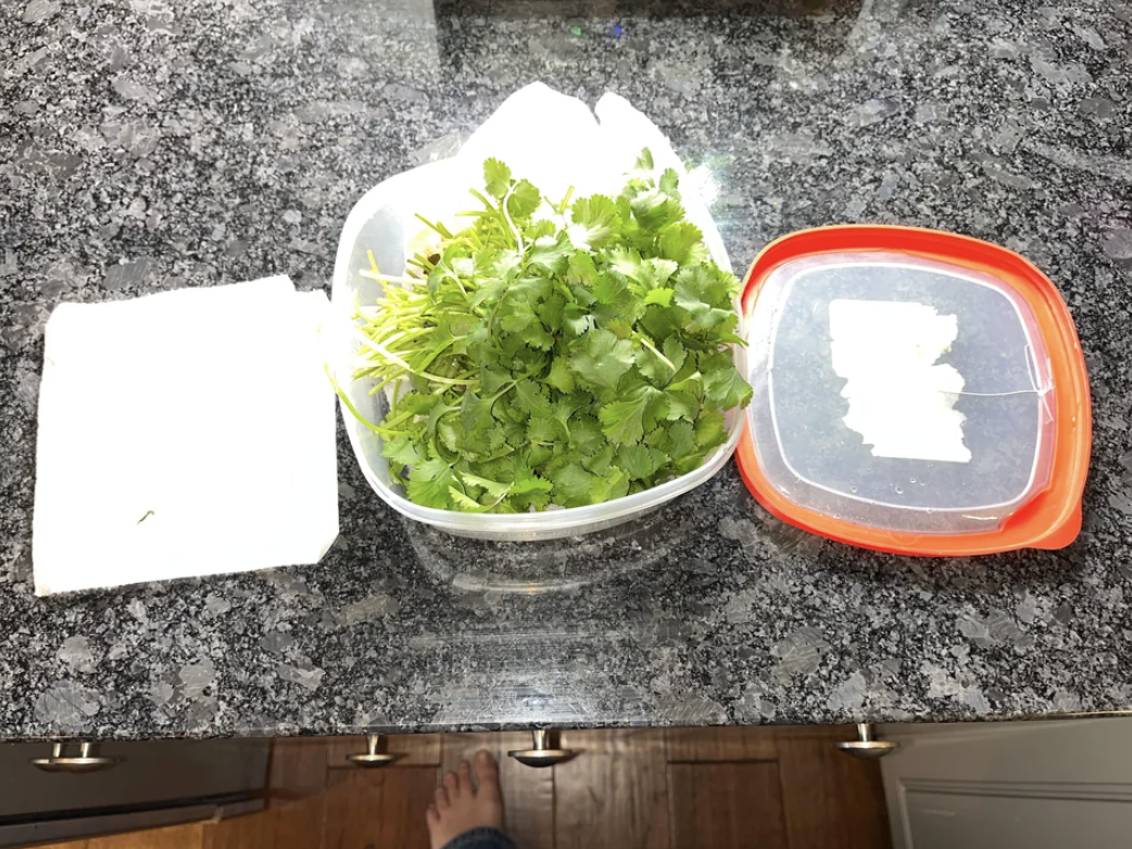 Fresh cilantro in a bowl on a countertop