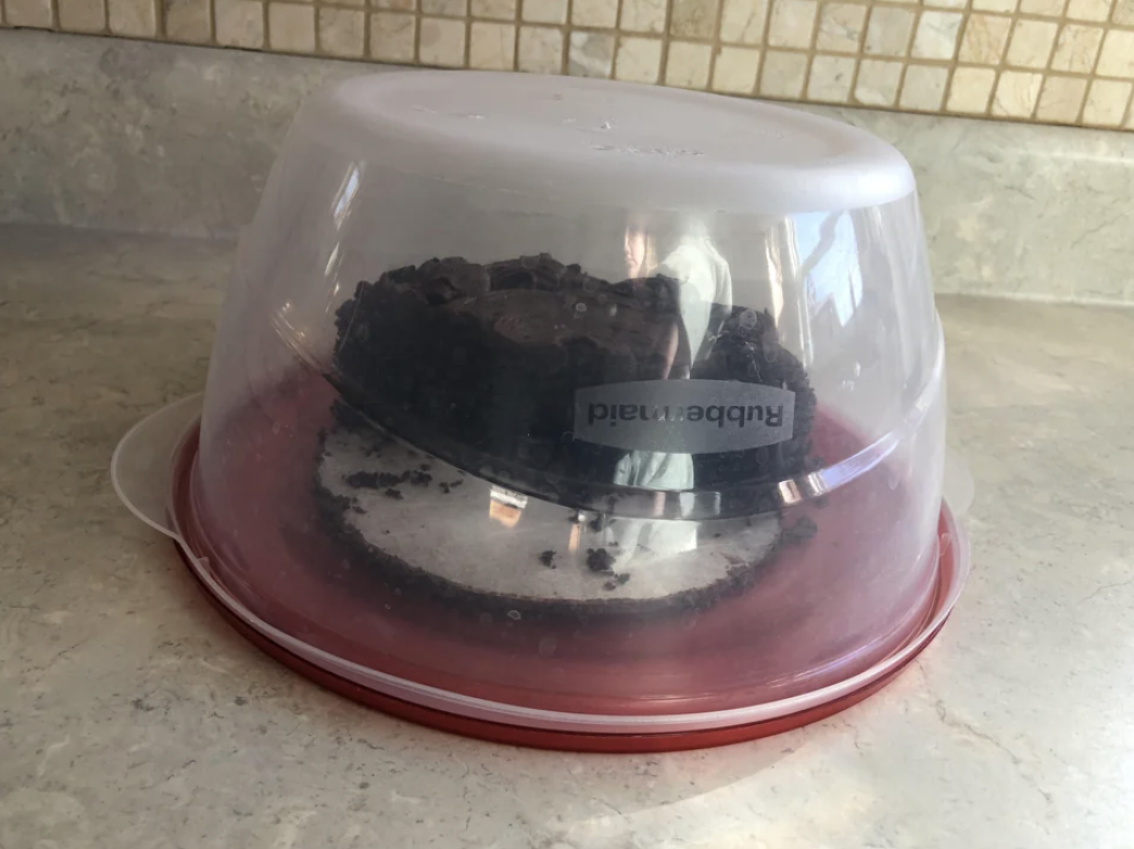 A plastic storage container over a piece of cake