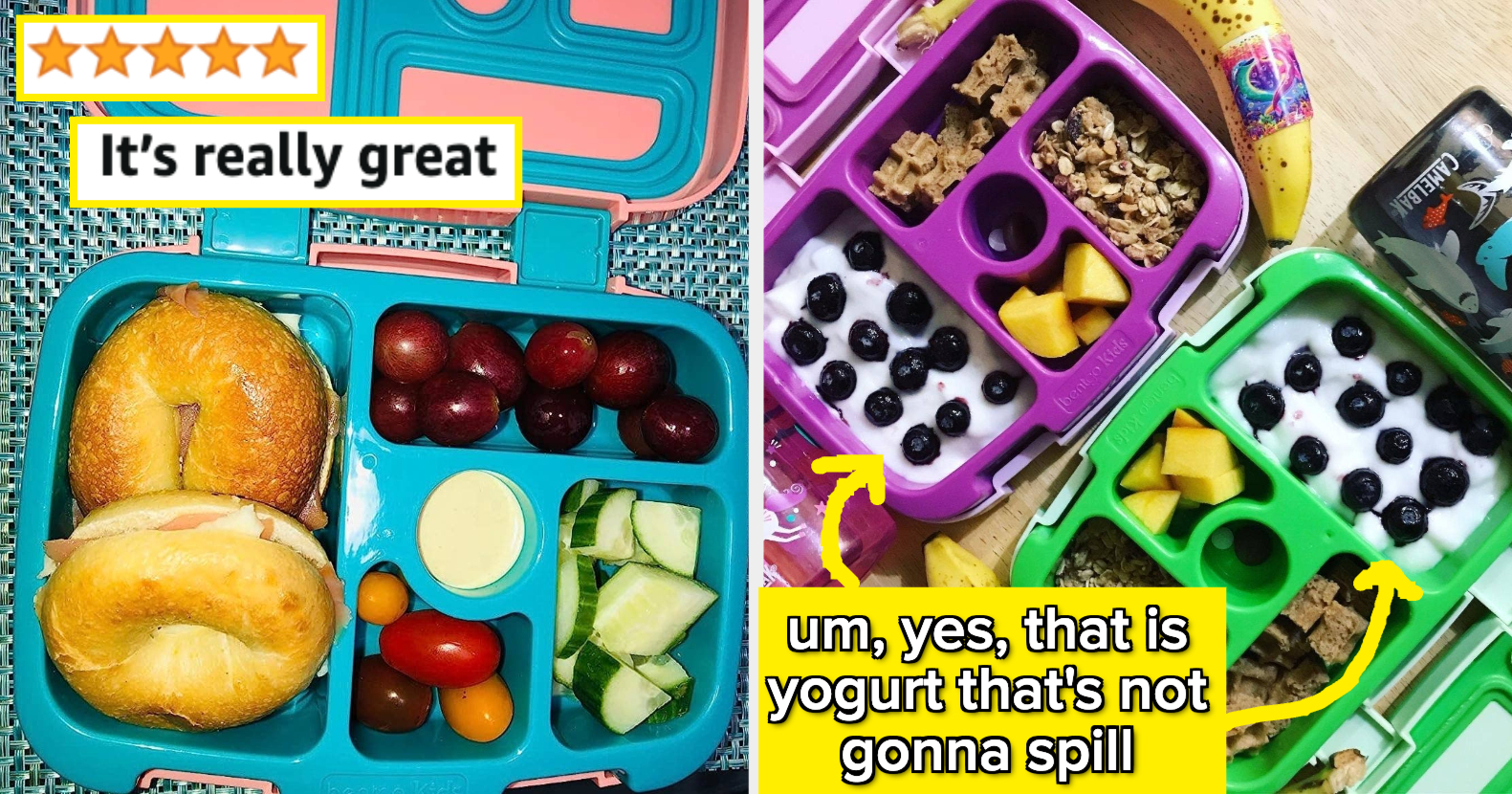 Lunch Box Ideas - Week 1 - Little Grazers