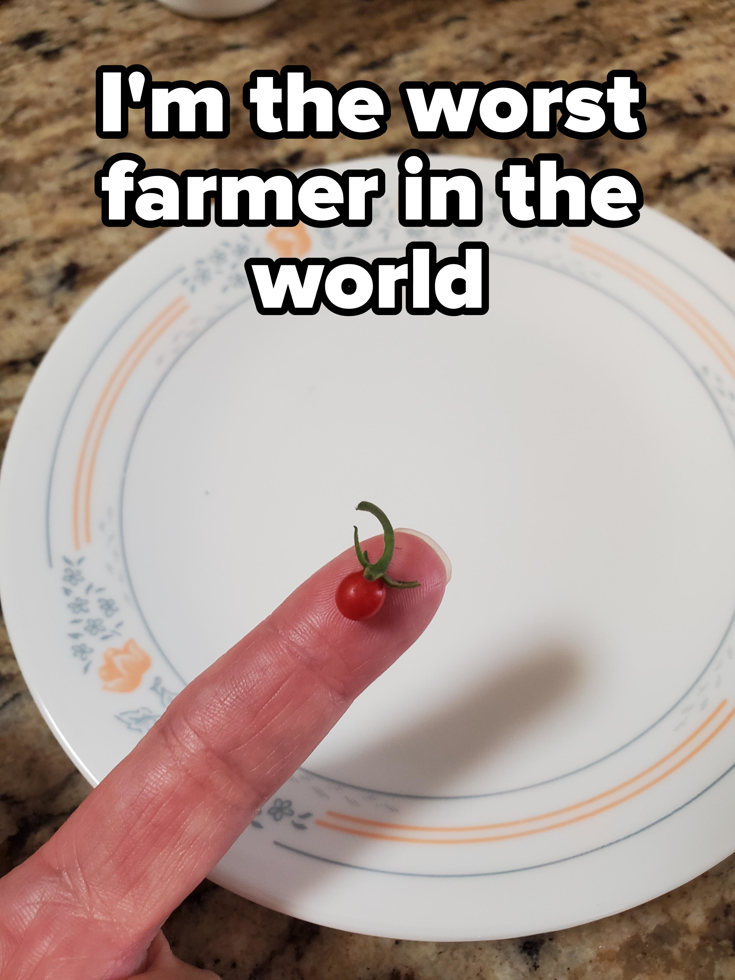 tinuy tomato on a finger
