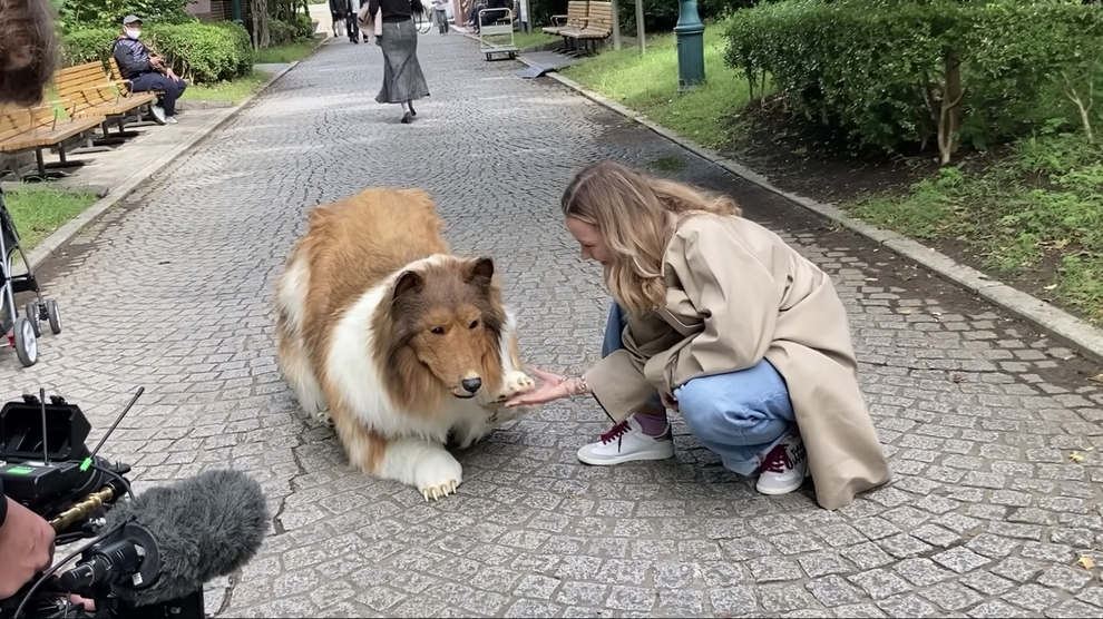 man looks like collie - How to Choose the Perfect Dog Breed: Tips for First-Time Owners - Image 2