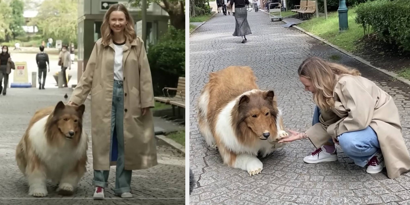 Viral Video: Man's Lifelike Collie Suit Transforms Him Into Animal - Vimarsana News