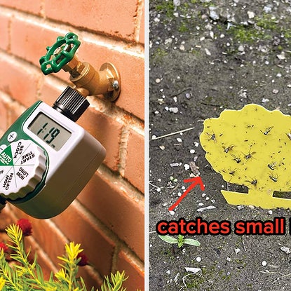 27 Things For Anyone Growing Vegetables In Their Yard Right Now