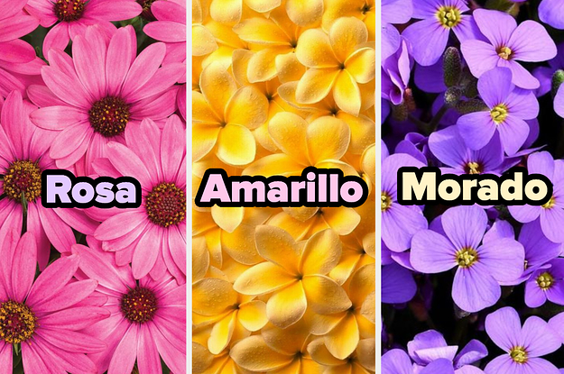 Puedo adivinar tu color favorito solo con tu selección en flores