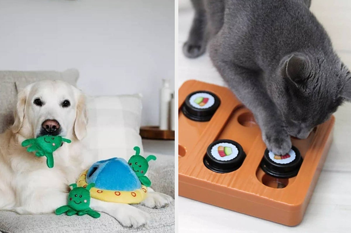 25 Things From Target To Keep Your Pets Occupied Indoors When It's Too Hot  To Go Outside