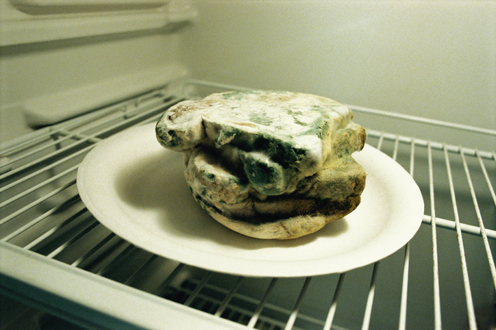 Moldy bread on a plate in the fridge