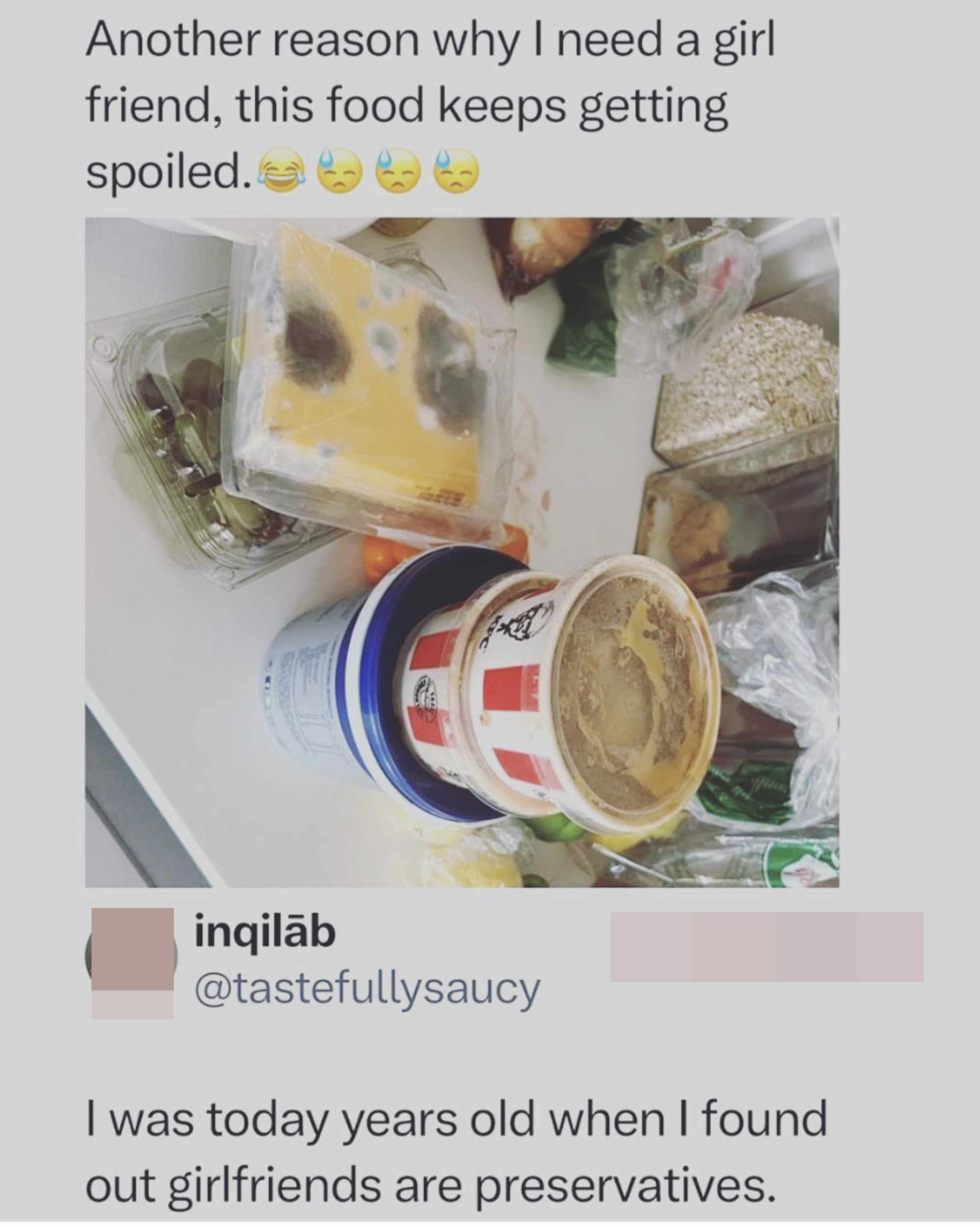 Person posts a photo of fast food containers with caption "Another reason why I need a girlfriend, this food keeps getting spoiled, and someone responds, "I was today years old when I found out girlfriends are preservatives"