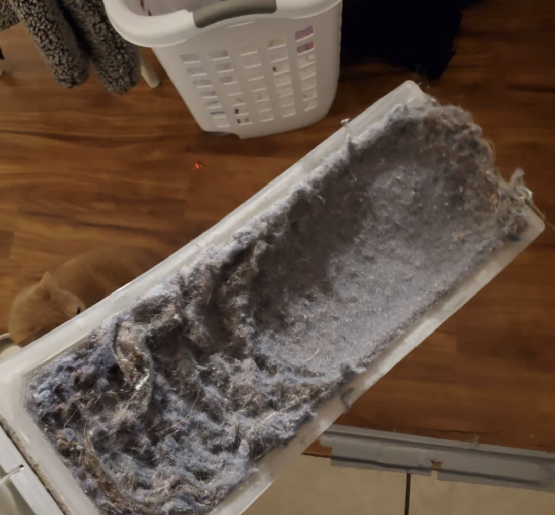 The lint trap is so full of lint, it looks like there are multiple layers of it and it&#x27;s falling apart