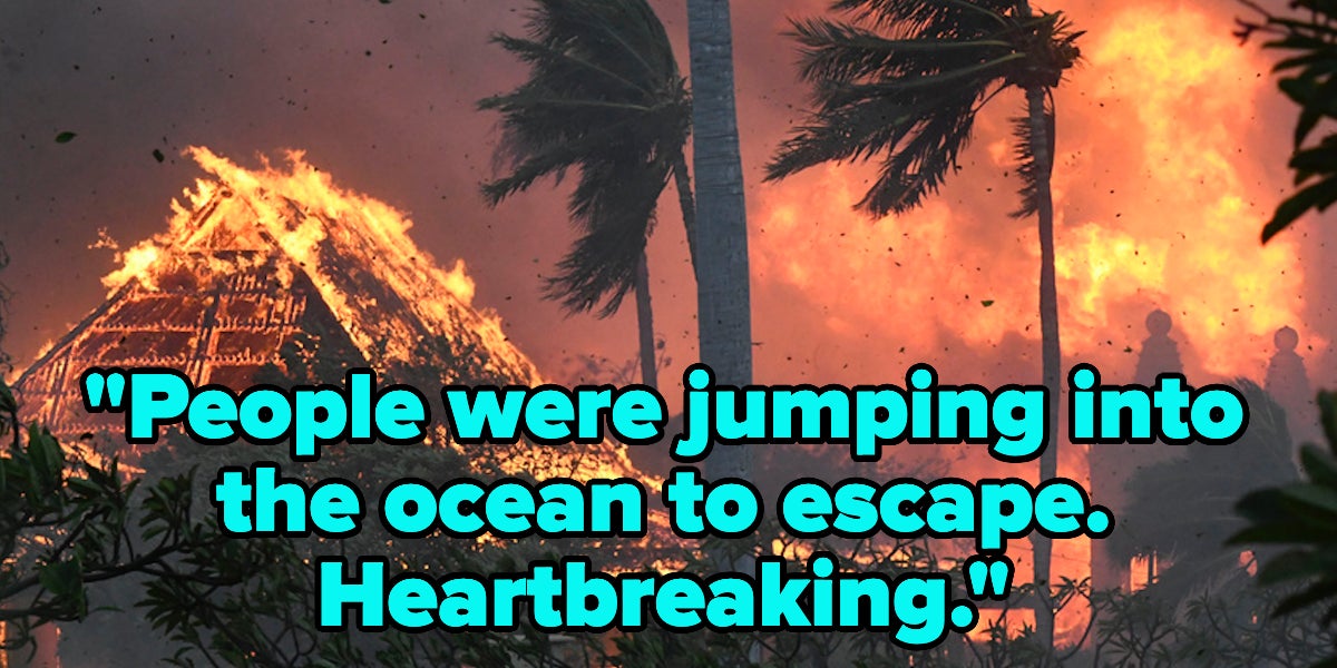 16 Tweets About Hawai'i Fires - Vimarsana News