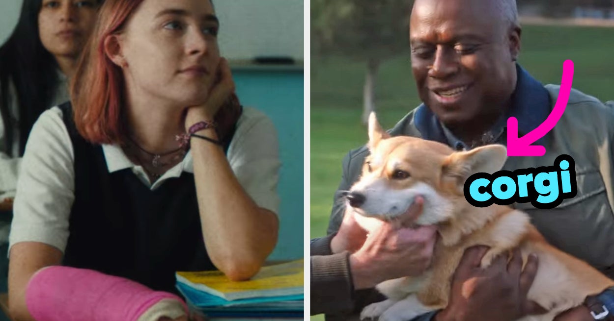 Pick Movies AZ See Dog Breed You Are Quiz