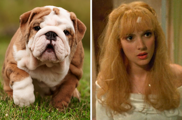 On the left, a bulldog puppy walking in the grass, and on the right, Winona Ryder as Kim in Edward Scissorhands
