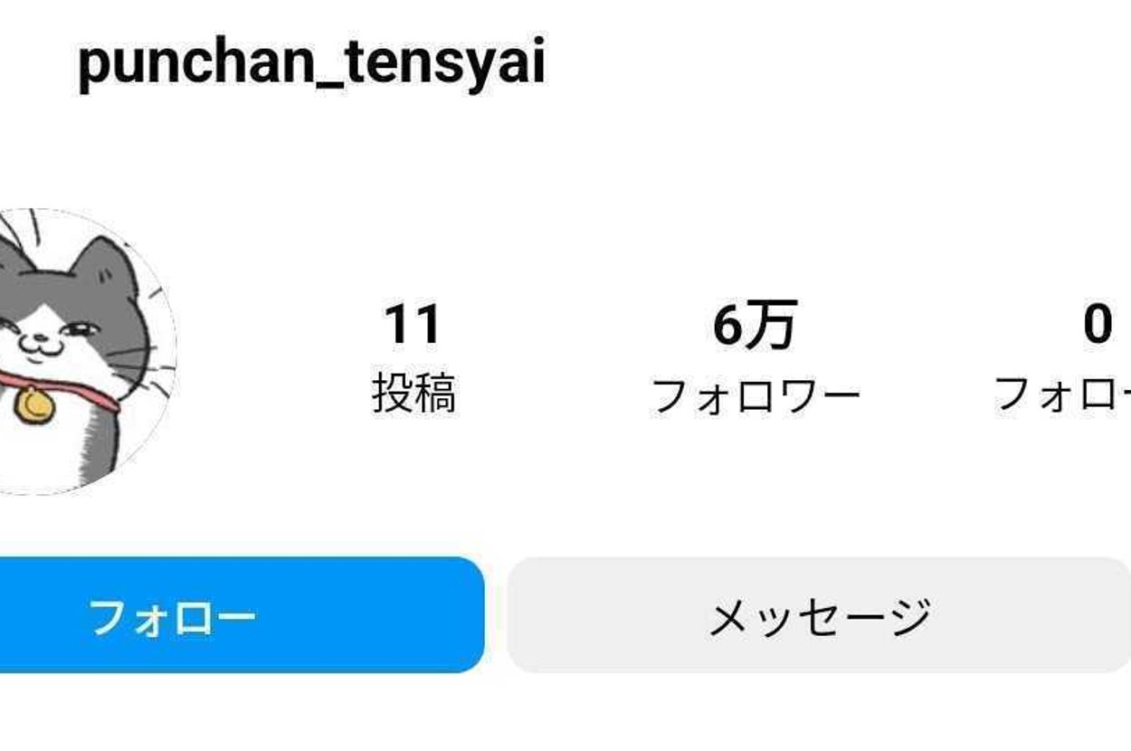 SNS漫画『ねこに転生したおじさん』が二度楽しめる…！？ 飼い主目線 