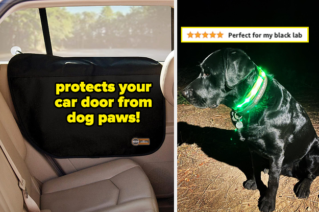 a car door protector for dogs / a black lab wearing a green led lit collar