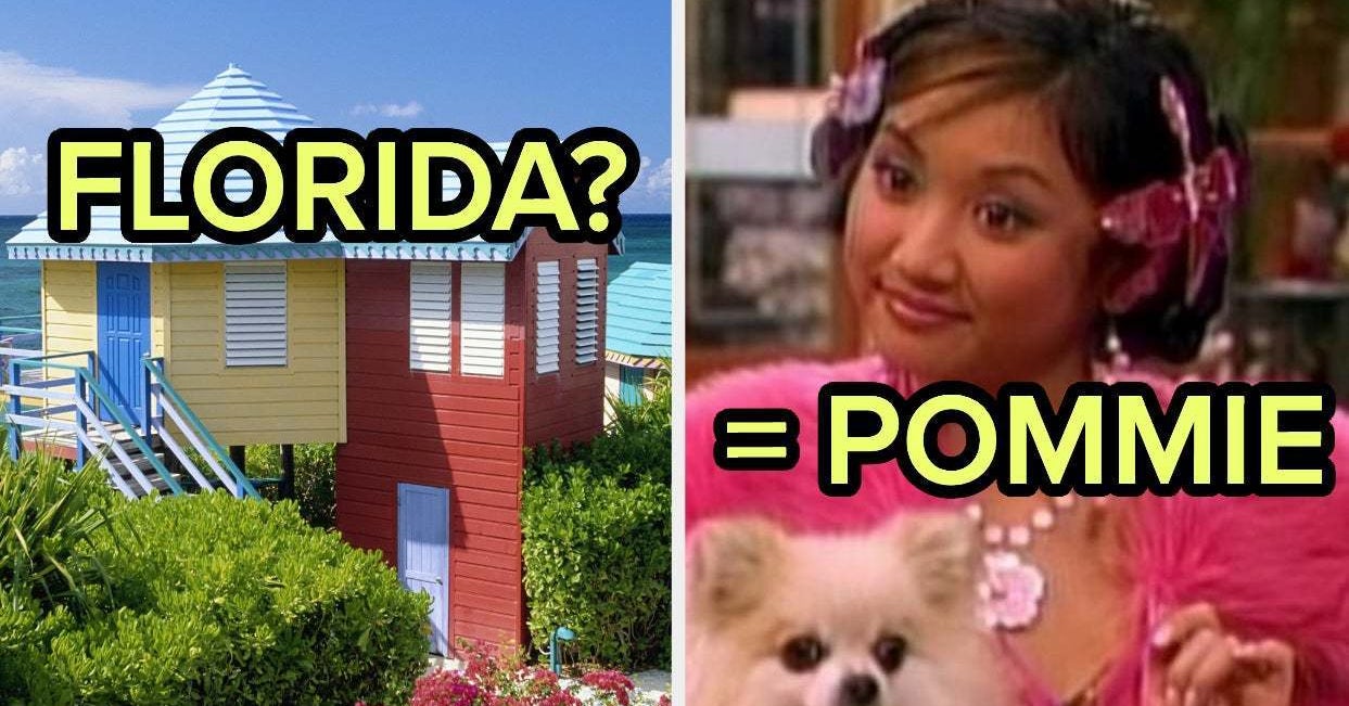 Plan Your Dream Summer Vacation And I'll Reveal Your Inner Dog Breed