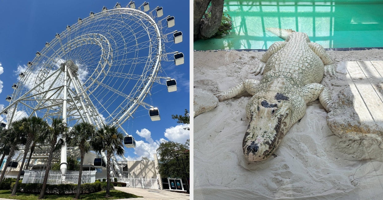 I Took A Budget-Friendly Trip To Orlando, And Here's How It Turned ...