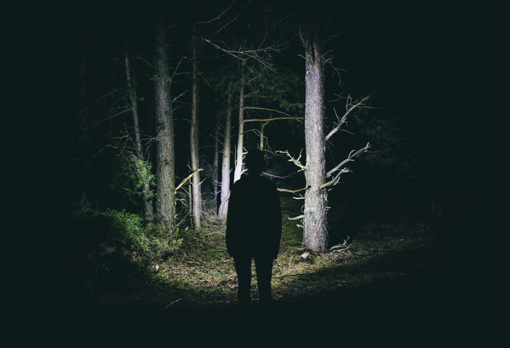 A person standing in headlights in the woods