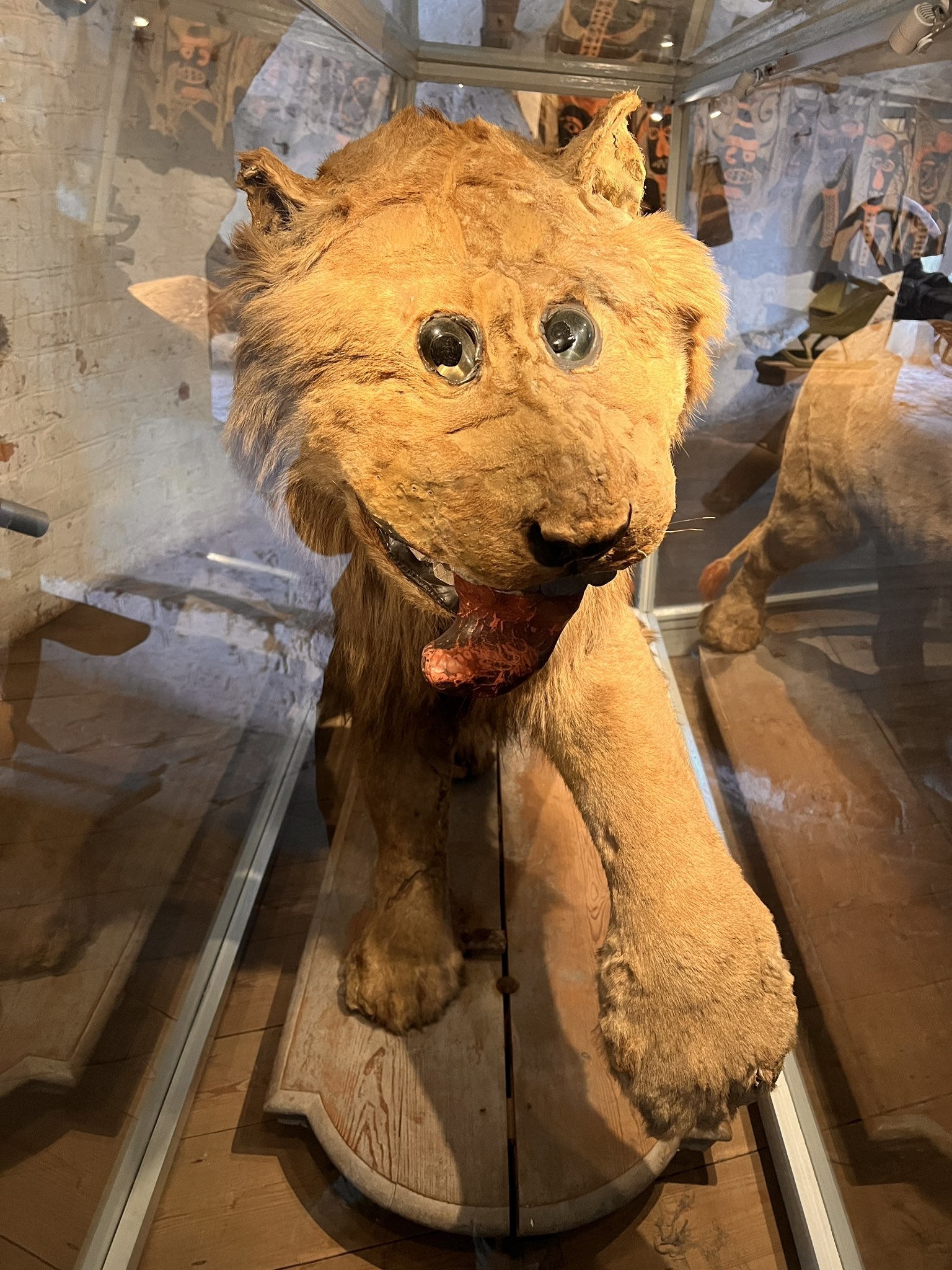 A taxidermy &quot;lion&quot; that looks nothing like a lion, with small ears, its tongue out, glass eyes very close together, and a raised paw