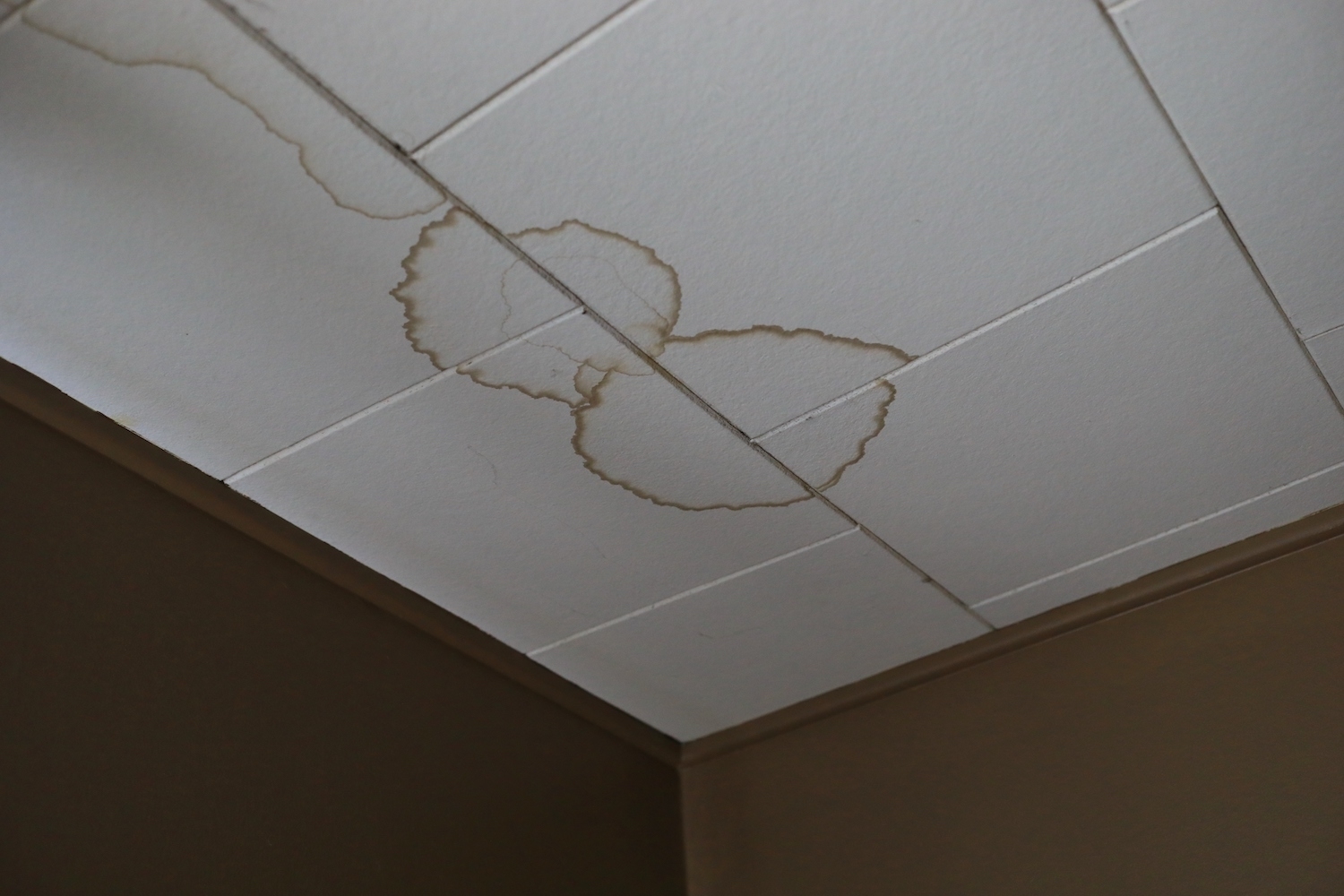 Water leaks from a ceiling
